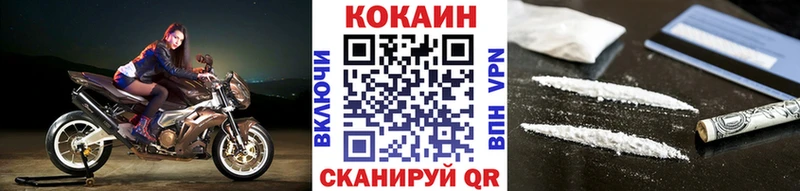 COCAIN Fish Scale Нестеров