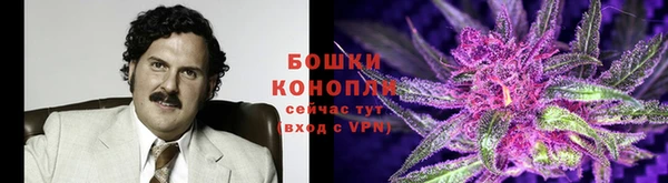 сатива Армянск