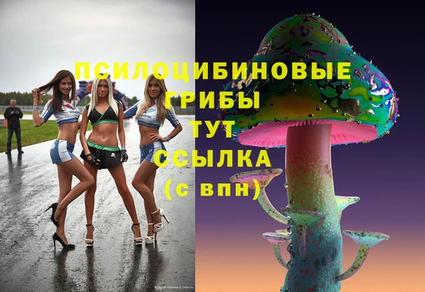 гидропоника Арсеньев
