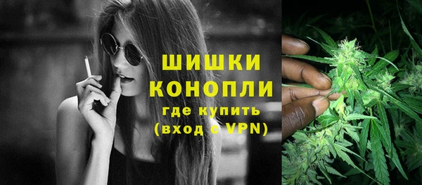 сатива Армянск