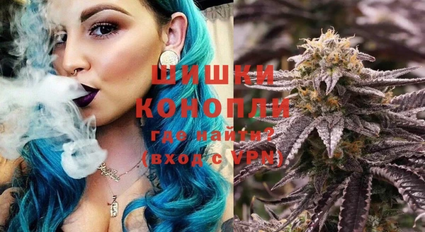 сатива Армянск