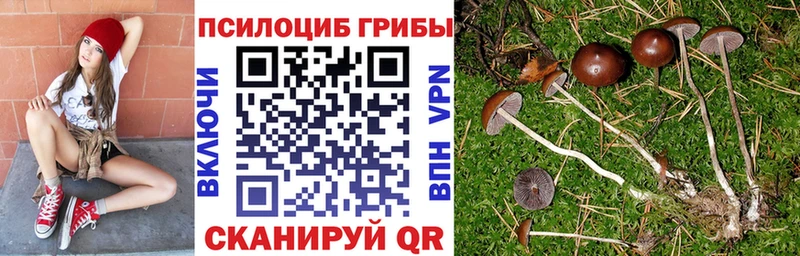 Галлюциногенные грибы GOLDEN TEACHER Нестеров